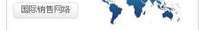 國際銷售網絡